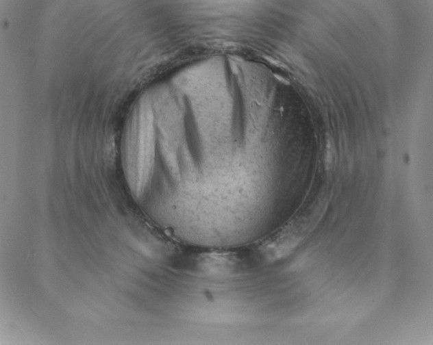 X0000088650320200706081644