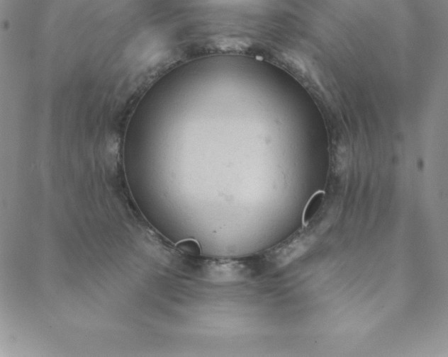 X0000088650321200706081644