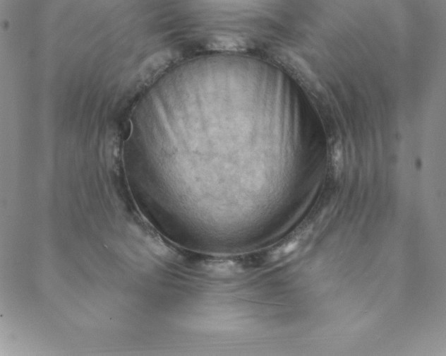 X0000088650322200706081644