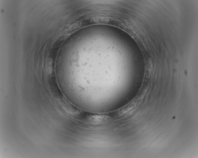 X0000088650323200706081644