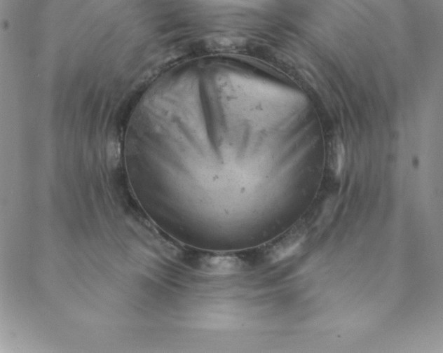 X0000088650324200706081644