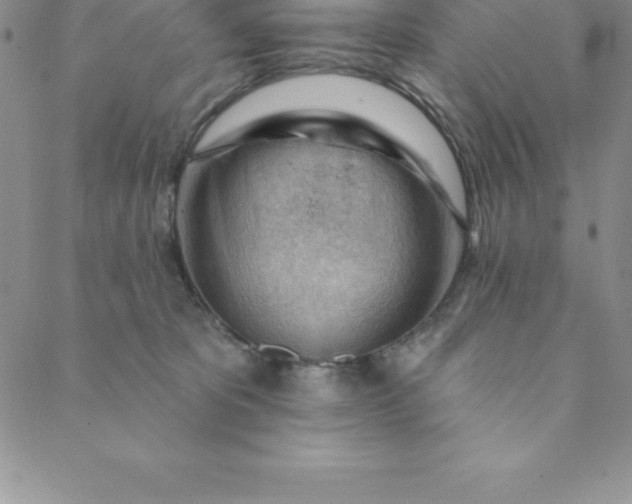 X0000088650325200706081644