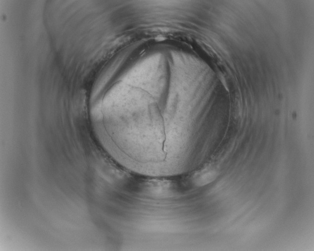 X0000088650328200706081644