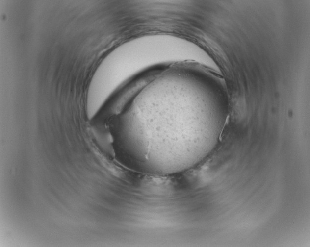 X0000088650329200706081644