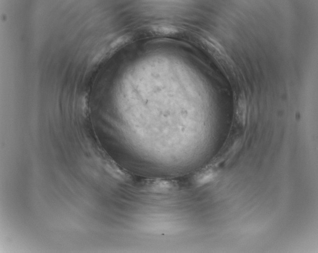 X0000088650330200706081644