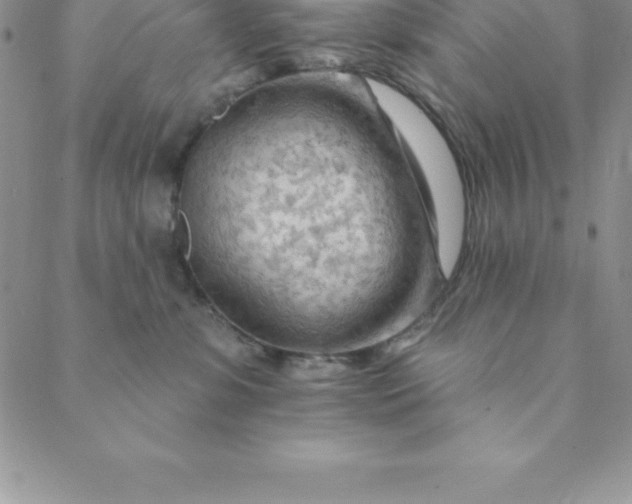 X0000088650331200706081644