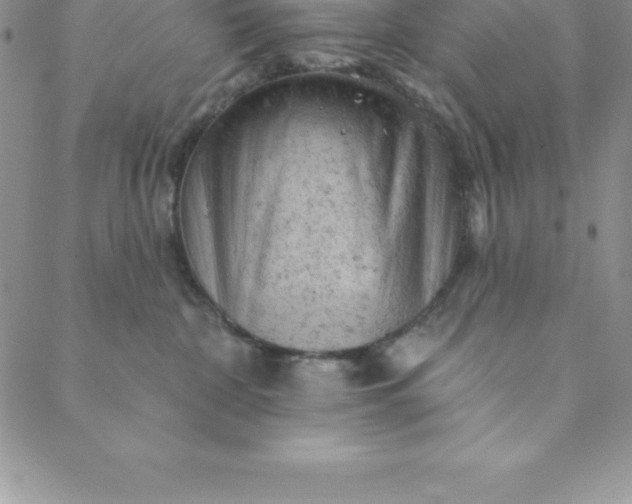 X0000088650332200706081644