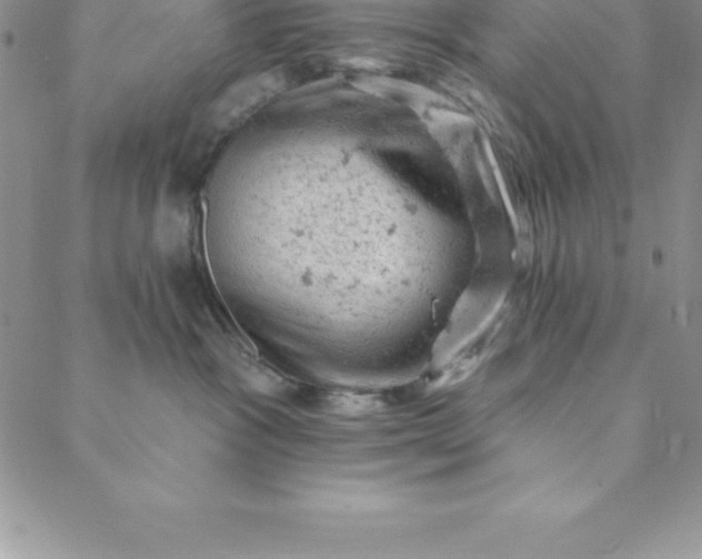 X0000088650333200706081644