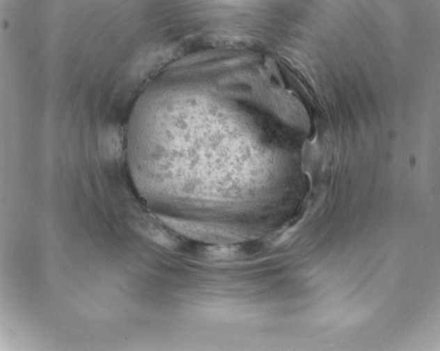 X0000088650335200706081644