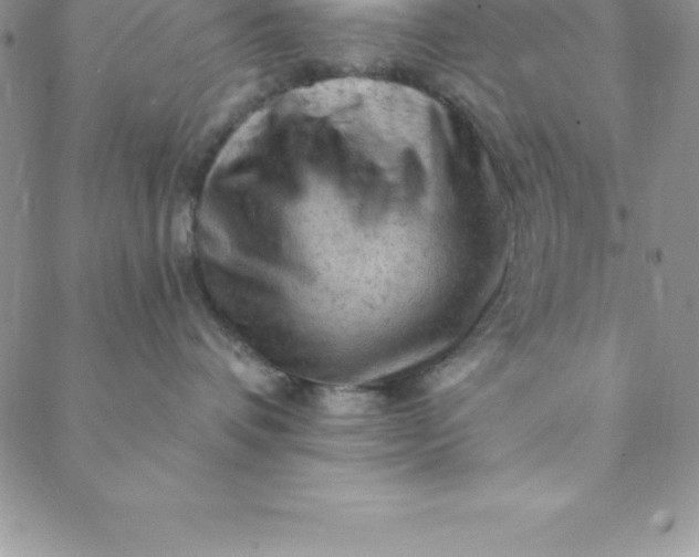 X0000088650336200706081644