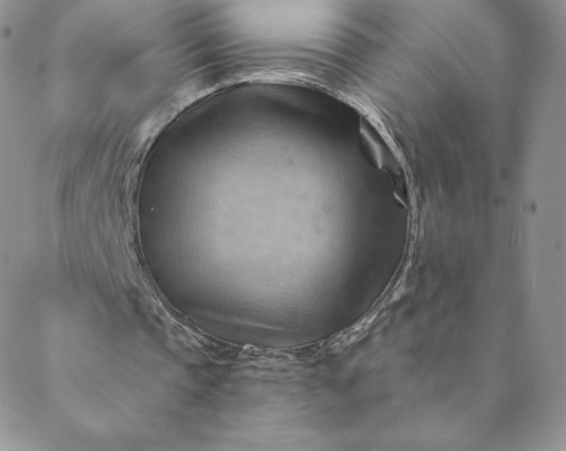 X0000088650337200706081643