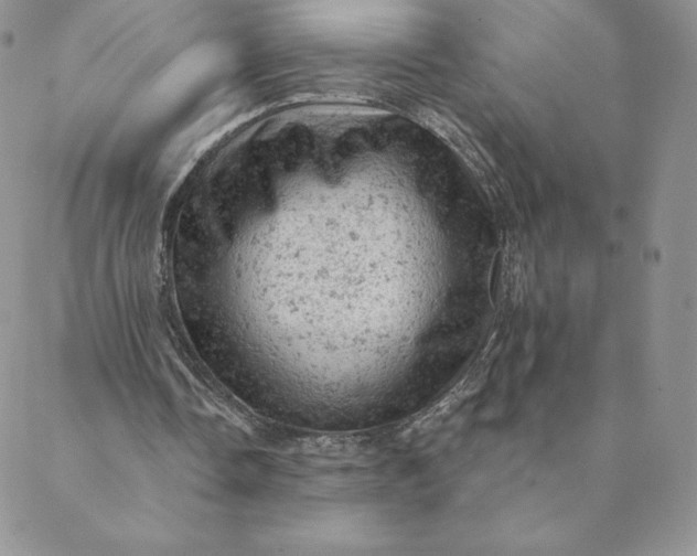 X0000088650338200706081643