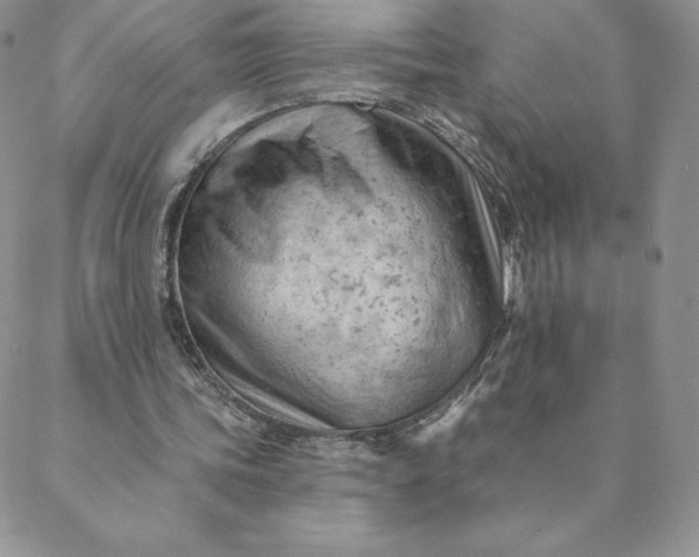 X0000088650339200706081643