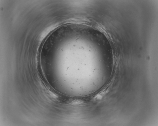 X0000088650340200706081643