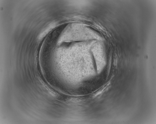 X0000088650341200706081643