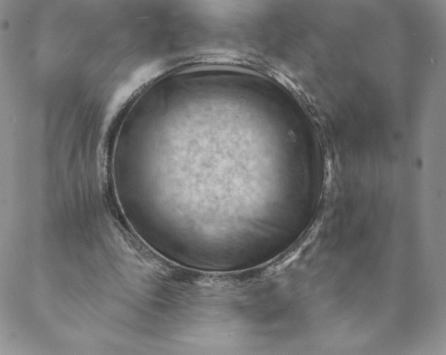 X0000088650343200706081643