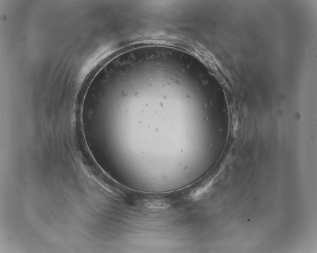 X0000088650344200706081643