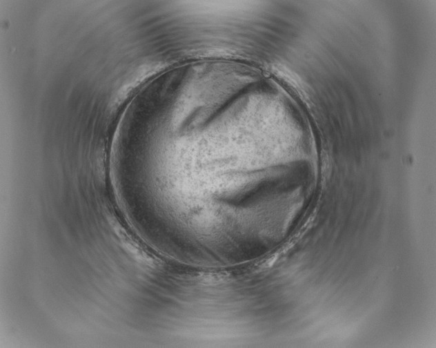 X0000088650345200706081643