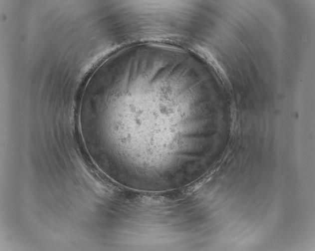 X0000088650346200706081643