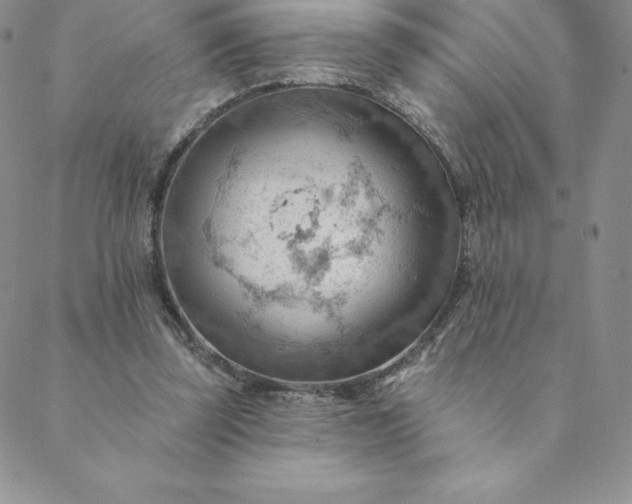 X0000088650347200706081643