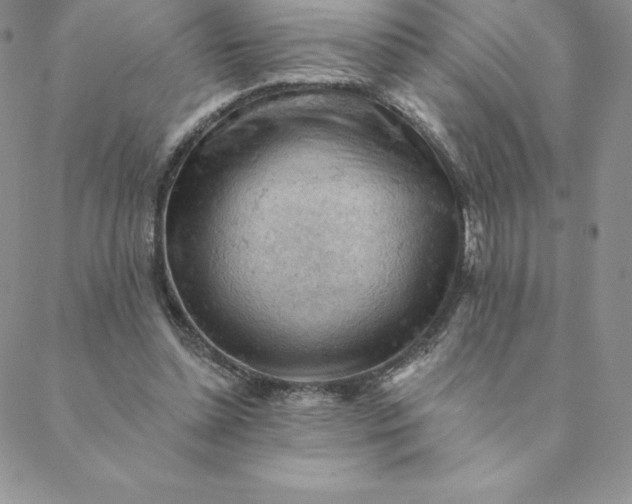 X0000088650348200706081643