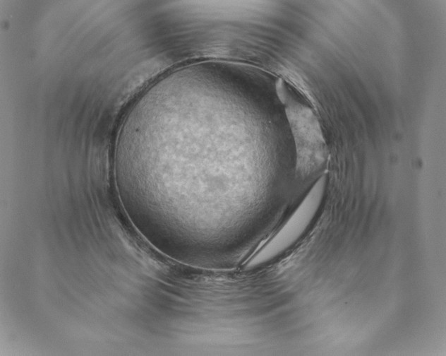 X0000088650349200706081643