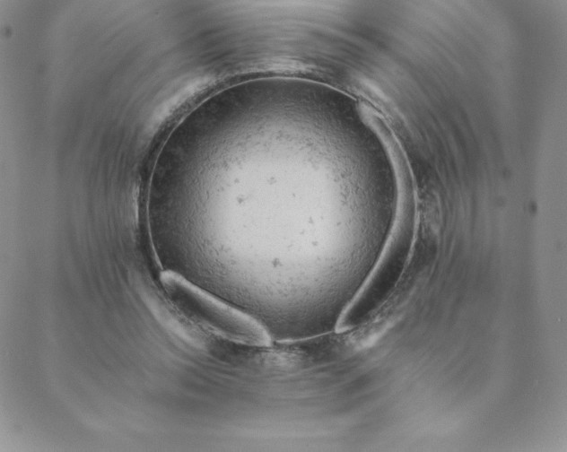 X0000088650350200706081643