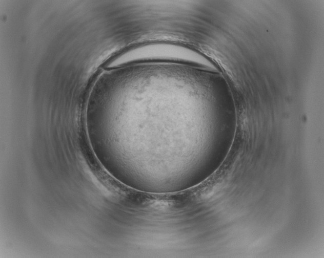 X0000088650352200706081643