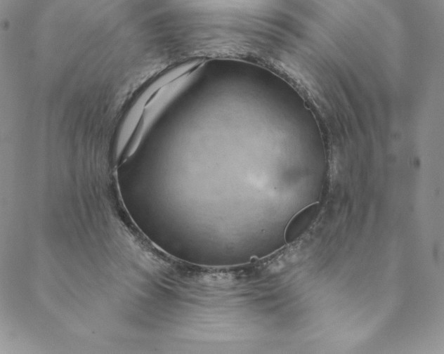 X0000088650353200706081643