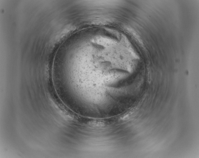 X0000088650354200706081643