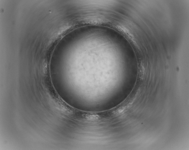 X0000088650355200706081643