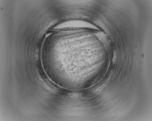 X0000088650356200706081643