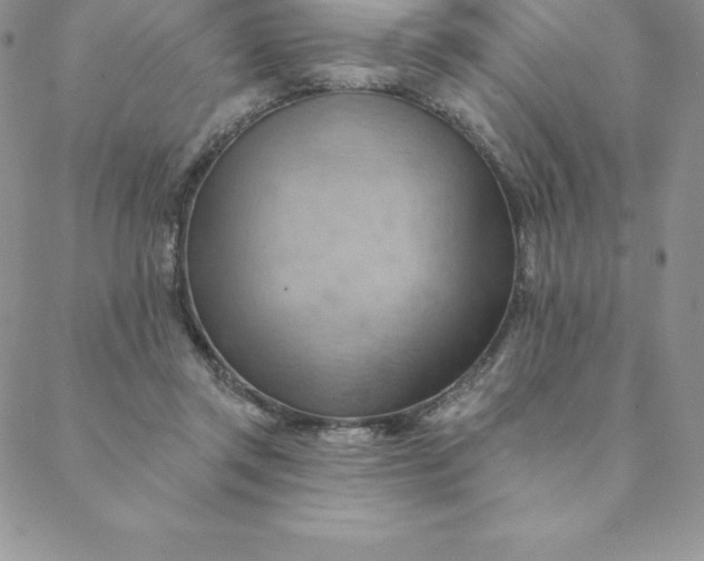 X0000088650357200706081643