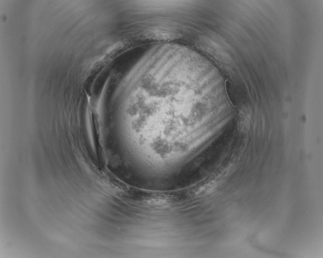 X0000088650358200706081643