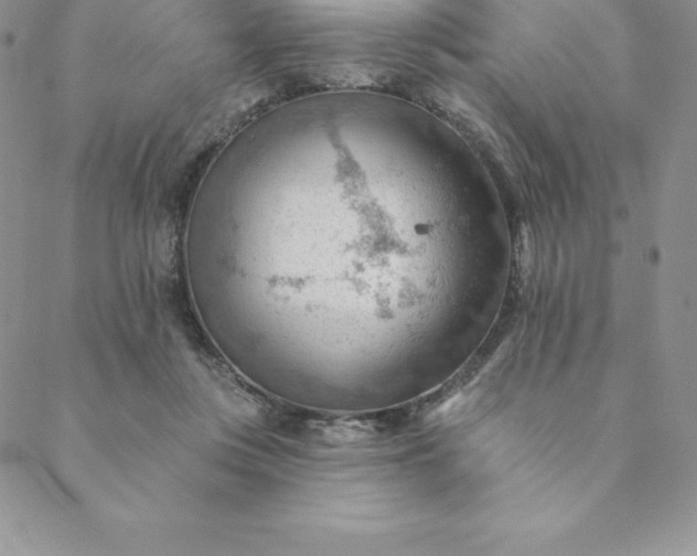 X0000088650359200706081643