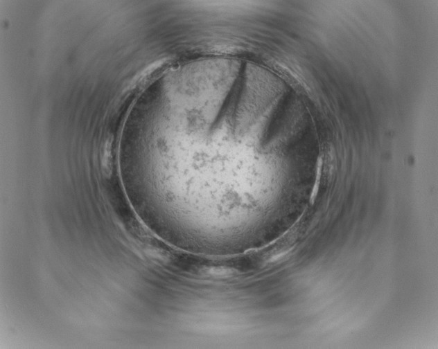 X0000088650360200706081643