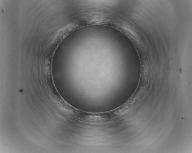 X0000088650361200706081643