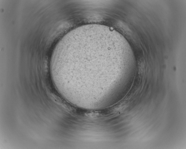 X0000088650362200706081643