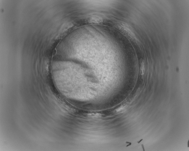 X0000088650363200706081643