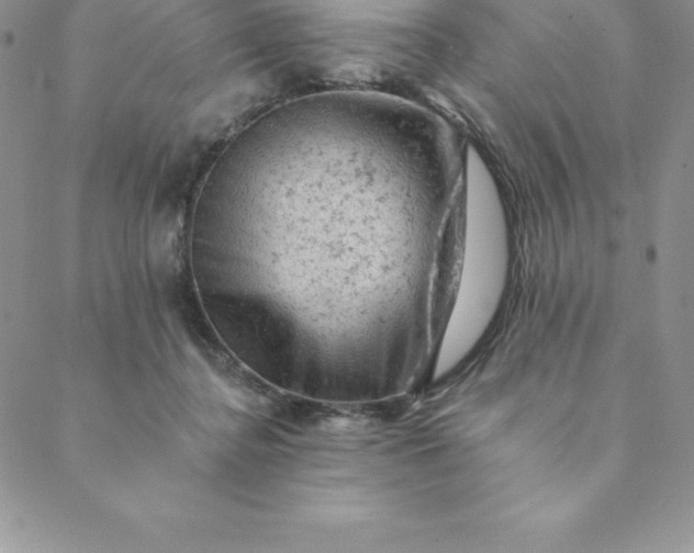 X0000088650364200706081643