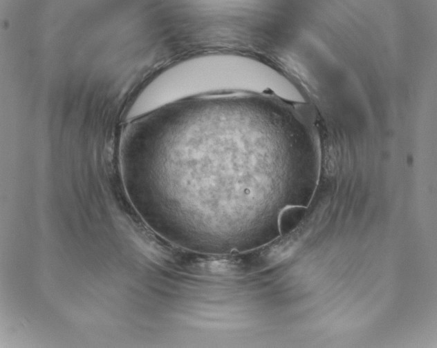 X0000088650365200706081643