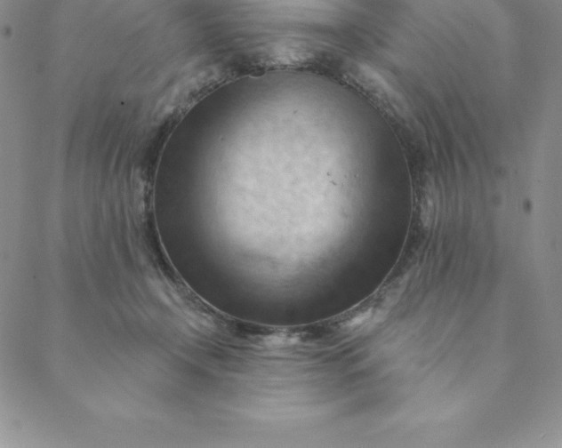 X0000088650366200706081643