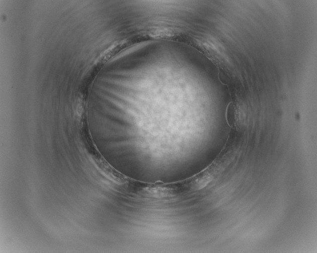 X0000088650367200706081643