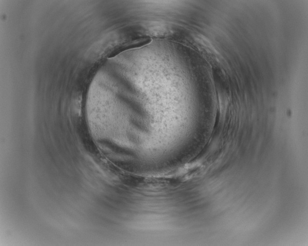 X0000088650368200706081643