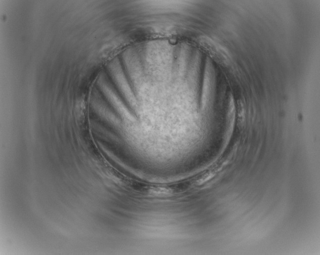 X0000088650369200706081643