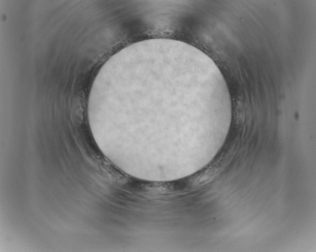 X0000088650370200706081643