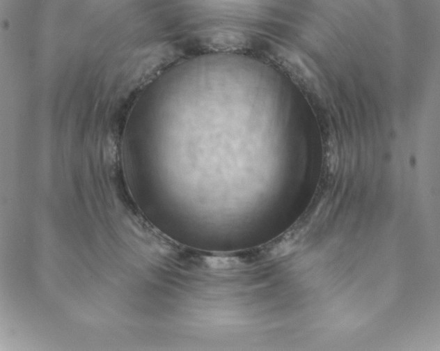 X0000088650371200706081643