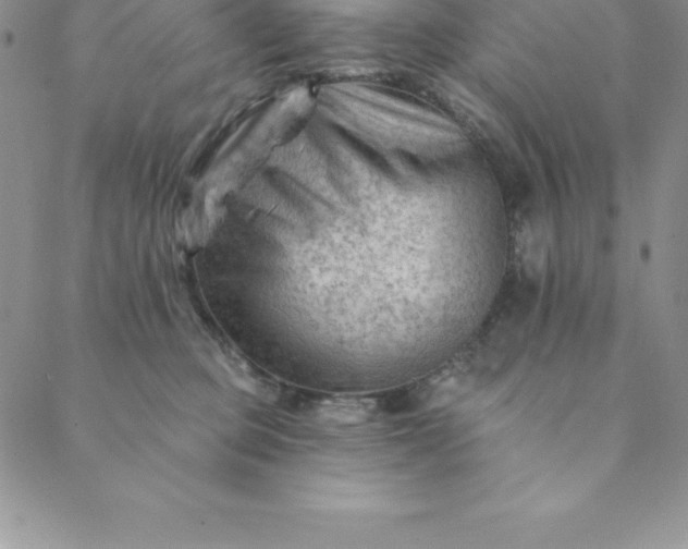 X0000088650373200706081643