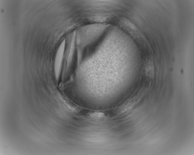 X0000088650374200706081643