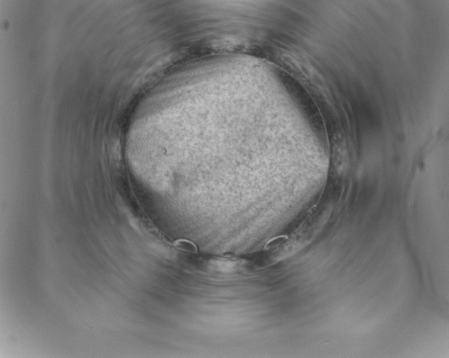 X0000088650375200706081643